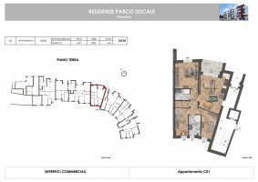 PIANTE UNITA SINGOLE