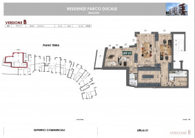 PIANTE UNITA SINGOLE