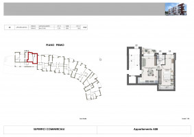 PIANTE UNITA SINGOLE
