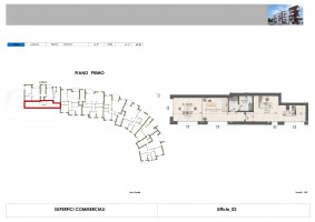 PIANTE UNITA SINGOLE