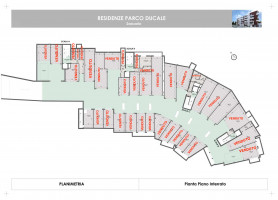 PIANTE UNITA SINGOLE