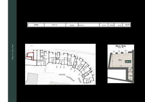 PIANTE UNITA SINGOLE