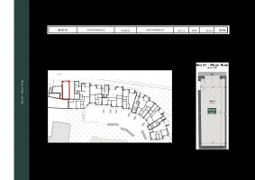 PIANTE UNITA SINGOLE