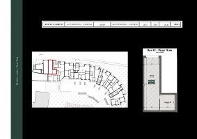 PIANTE UNITA SINGOLE